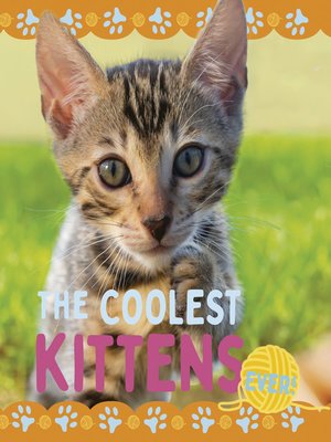 cover image of The Coolest Kittens